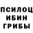 Галлюциногенные грибы прущие грибы nat. r