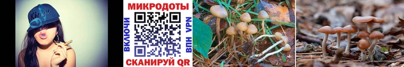 Псилоцибиновые грибы GOLDEN TEACHER  OMG ссылки  Чухлома 